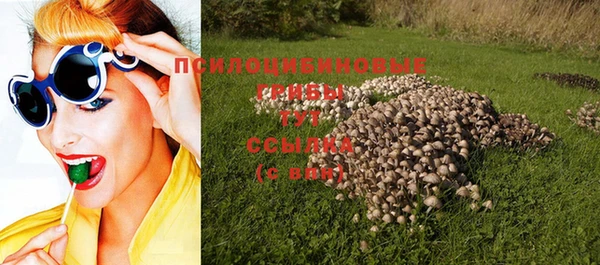 индика Новокубанск