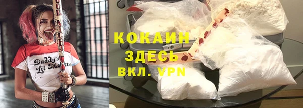спиды Новодвинск