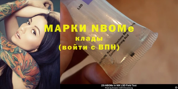 индика Новокубанск