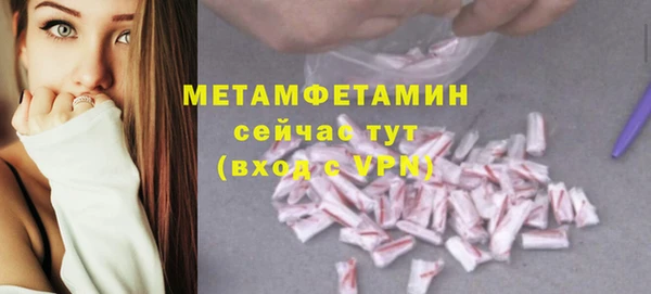 индика Новокубанск
