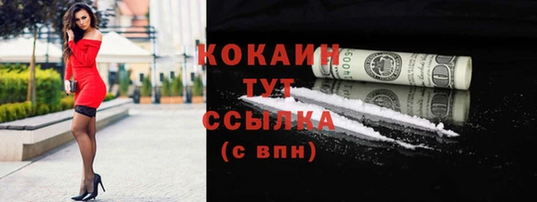 спиды Новодвинск