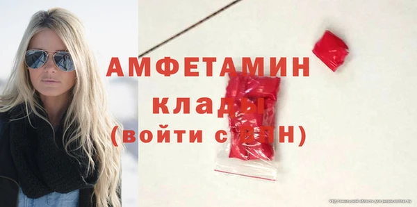 индика Новокубанск