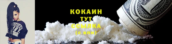 дмт Новозыбков