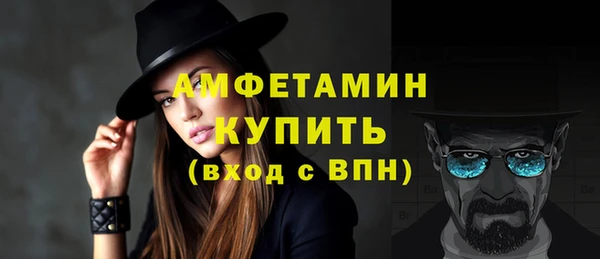 индика Новокубанск