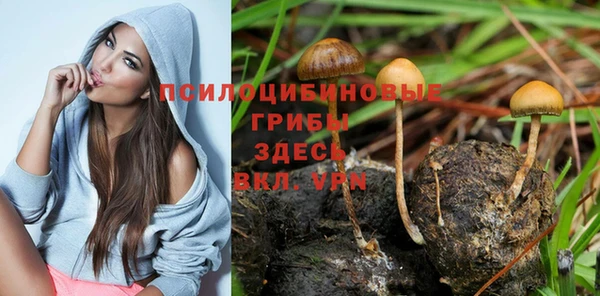 спиды Новодвинск