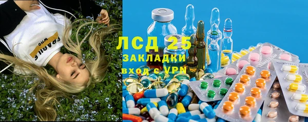 спиды Новодвинск