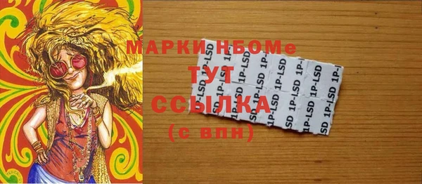 индика Новокубанск
