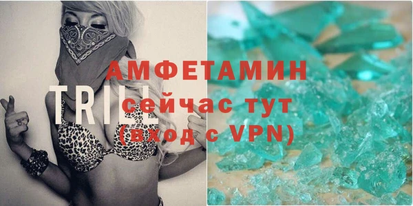 индика Новокубанск