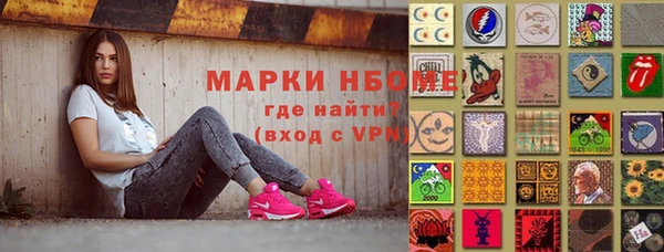 индика Новокубанск