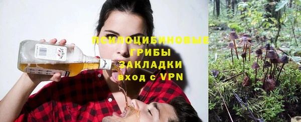 дмт Новозыбков