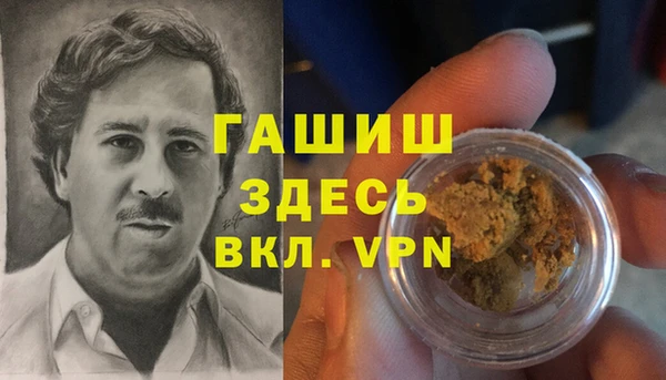 индика Новокубанск