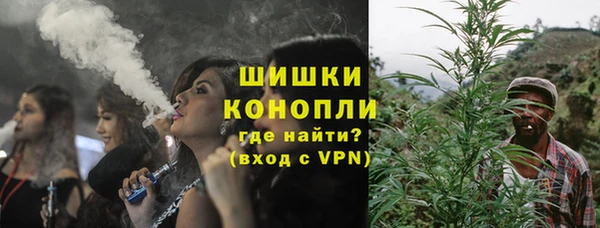 дмт Новозыбков