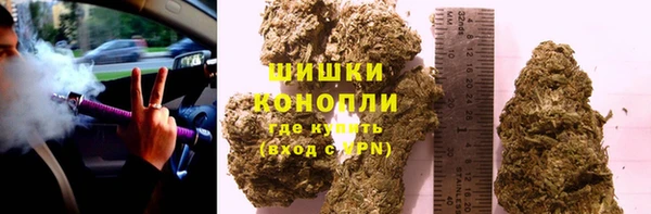спиды Новодвинск