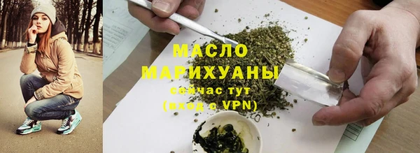 дмт Новозыбков